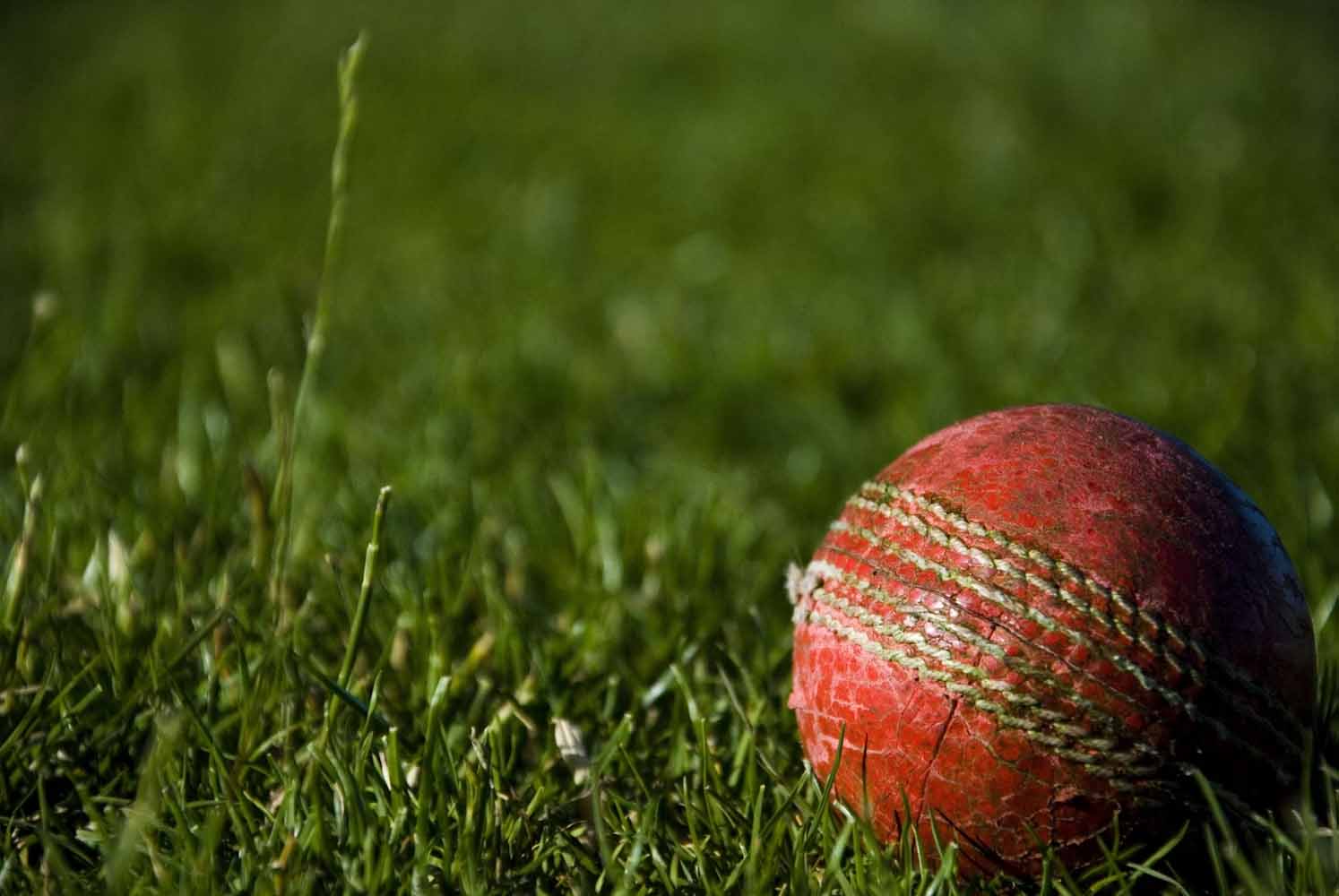 Cricket equipment